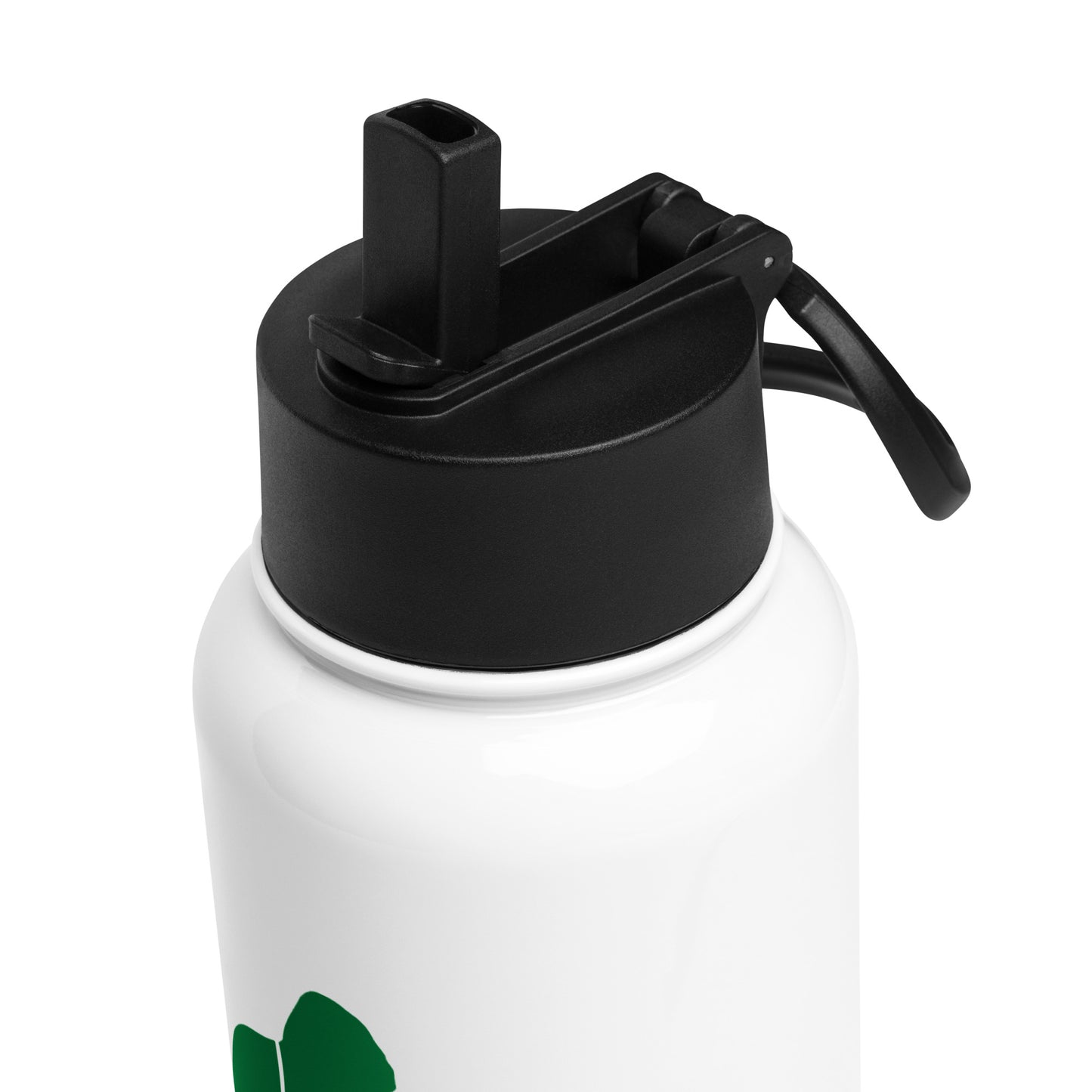 Stainless steel water bottle with a straw lid